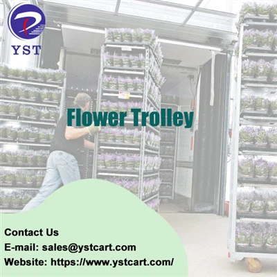 Transforming The Floral Industry With The Use Of Flower Trolleys