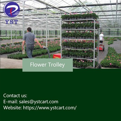 Achieving Seamless Flower Delivery Operations With Flower Trolleys