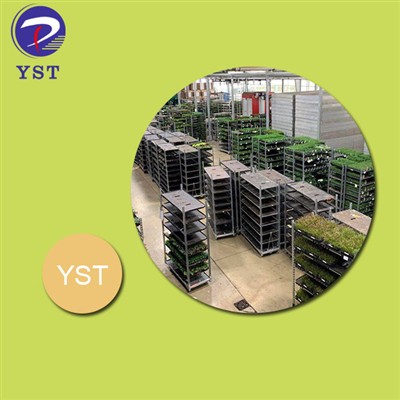 How Danish Trolleys Improve Workflows And Reduce Labor Costs in The Plant Cul...