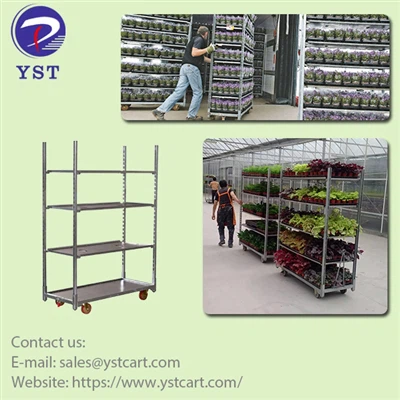 Boosting Productivity: The Role Of Danish Trolleys in Efficient Inventory Man...