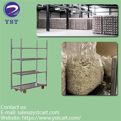 Enhancing Mushroom Quality And Cost-effectiveness With Danish Trolleys