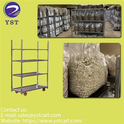 Why Mushroom Growing Racks Are Essential For Mushroom Production