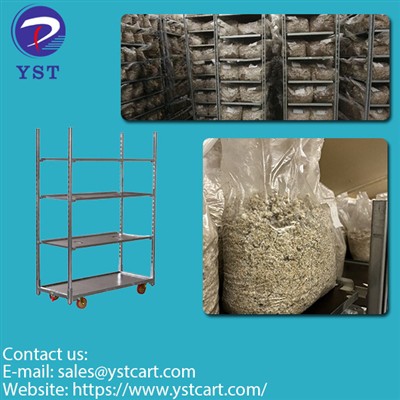 Choosing The Best Mushroom Growing Rack For Farm