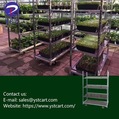 Danish Trolleys: Application For Plant Cultivation