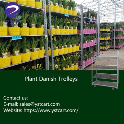 Maximizing Space And Productivity With Plant Danish Trolleys