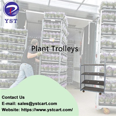 How Plant Trolleys Improve The Sustainability Of Flower Distribution Centers